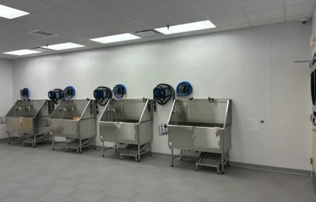 Grooming tubs and kennels for interior renovation project