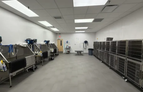 Grooming tubs and kennels for interior renovation project