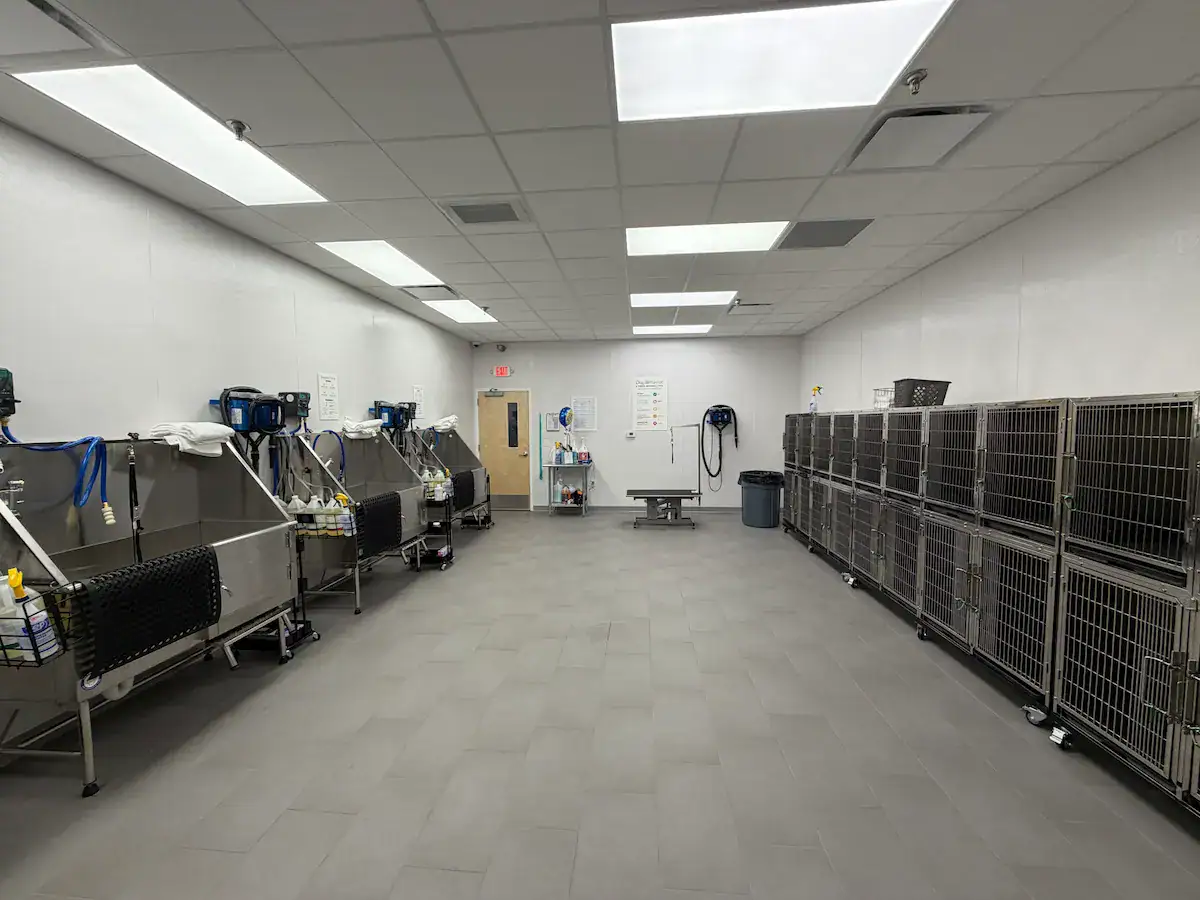 Grooming tubs and kennels for interior renovation project