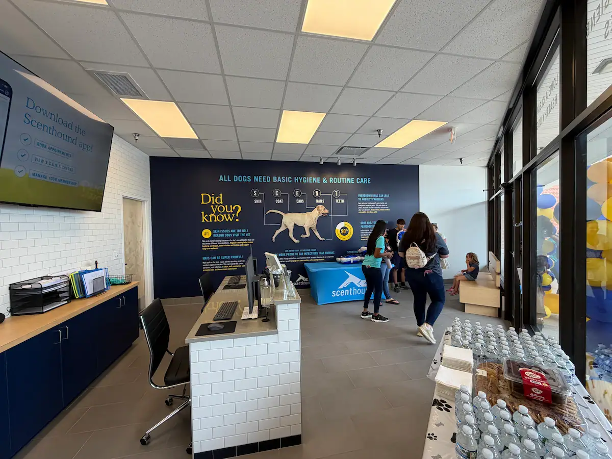 Post-construction snapshot of lobby interior with custom graphics installation