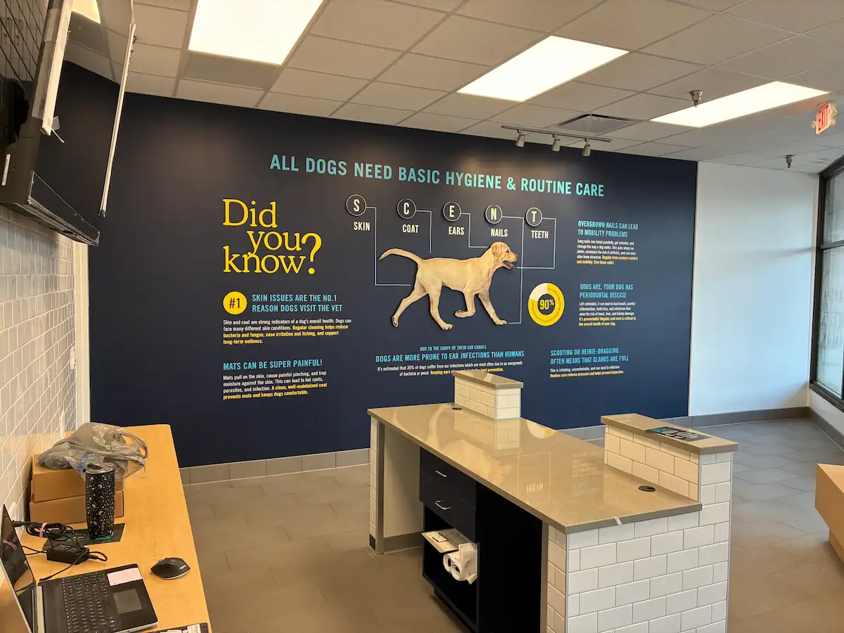 Post-construction snapshot of lobby interior with custom graphics installation